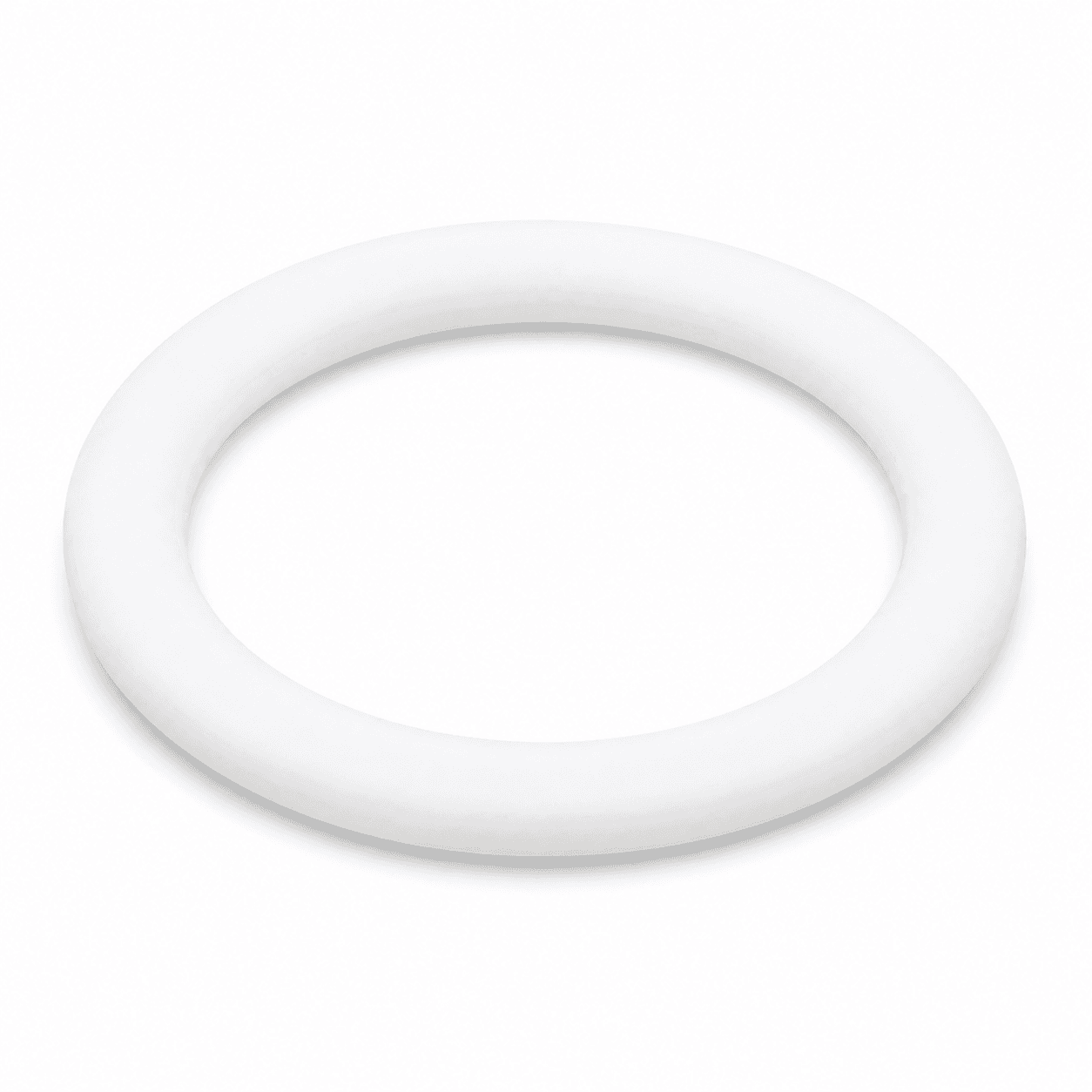 Sealing Ring / Gasket