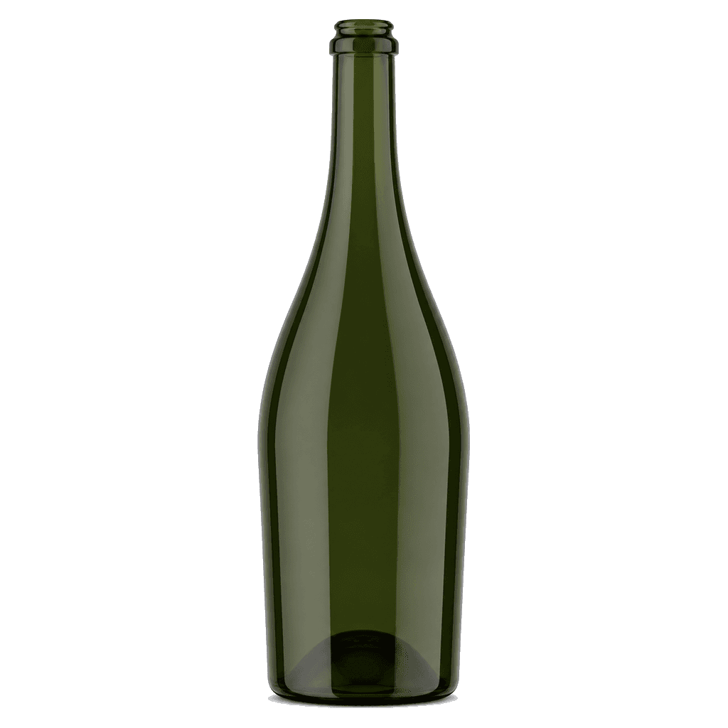 Sparkling Wine Bottle