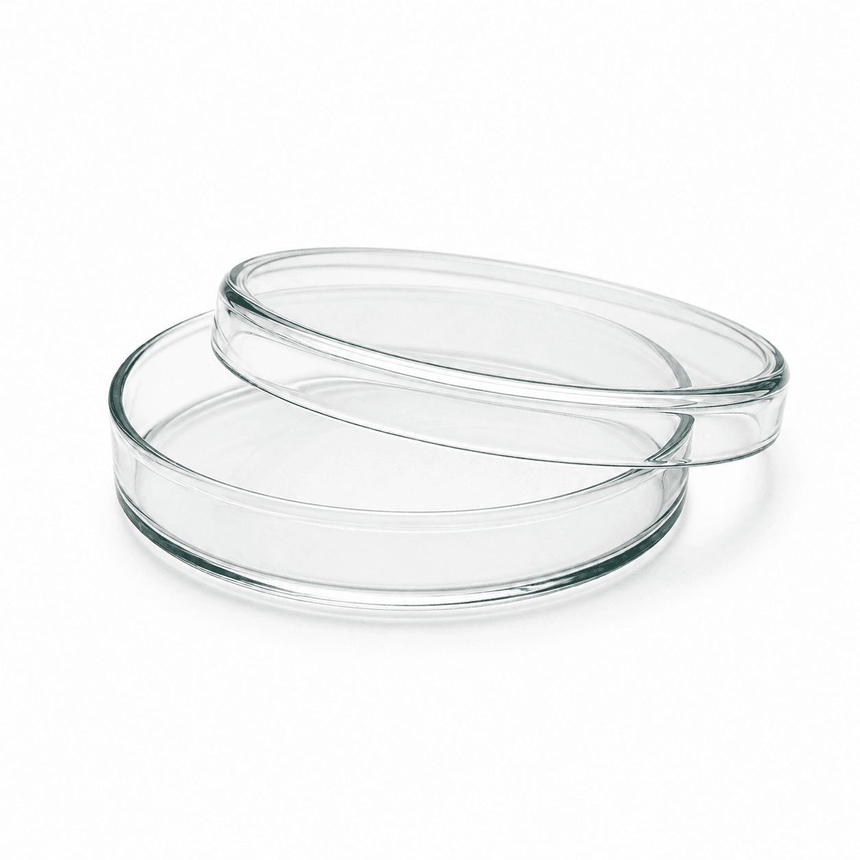 Petri Dish